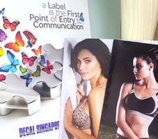 Brochure & Leaflet