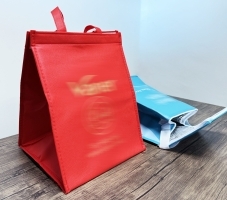 Cooler Bag