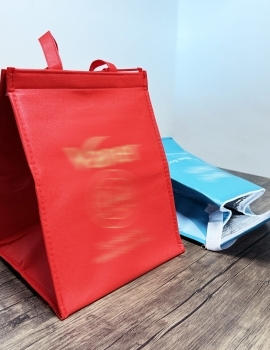 Cooler Bag