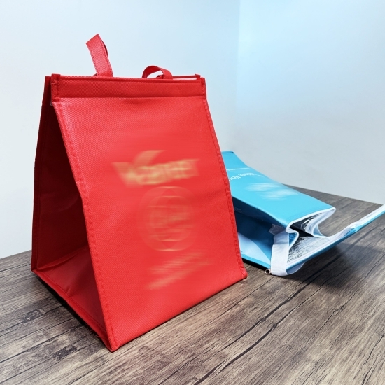 Cooler Bag