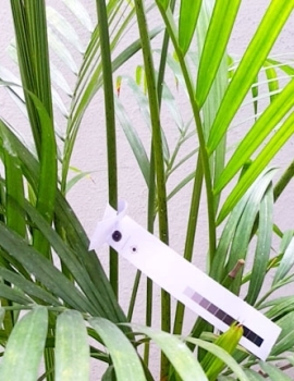 Plant Tag